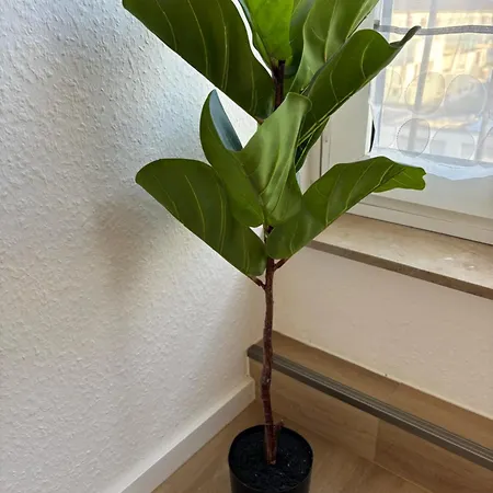 Moderne In Zentraler Lage Bei Time *