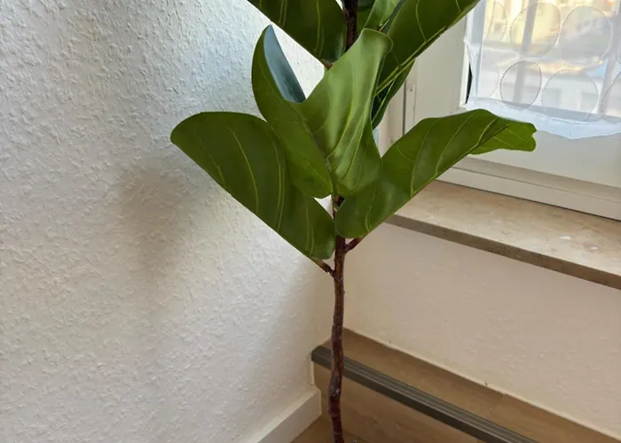 Moderne In Zentraler Lage Bei Time *